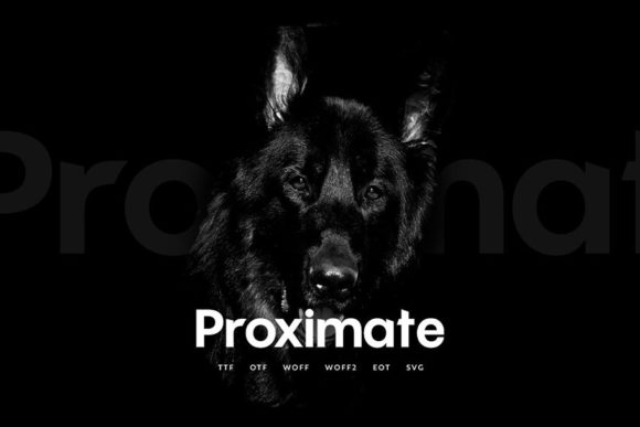 Proximate: The Bold Display Font That Elevates Your Digital Brand